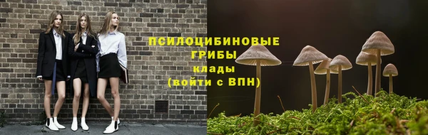 сатива Алзамай