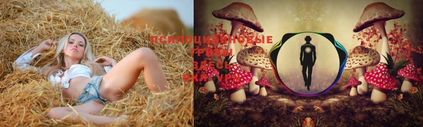 Альфа ПВП Алексеевка
